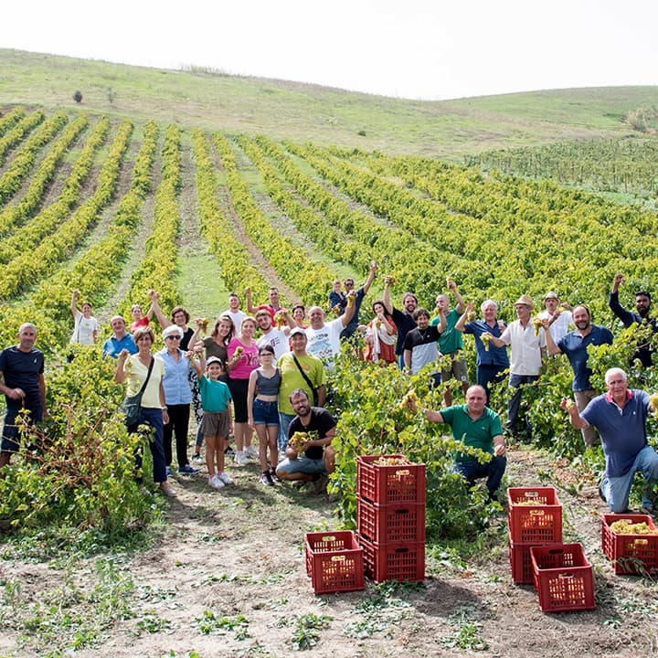 Valdibella Valdibella