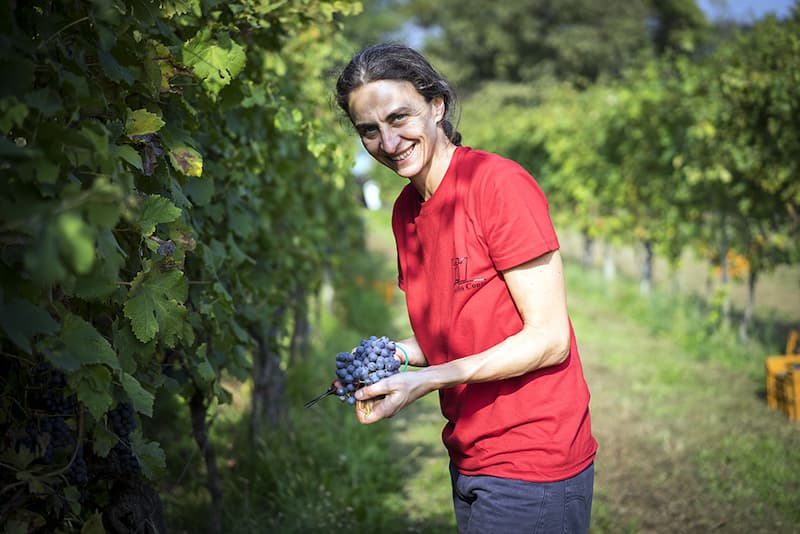 Castello Conti Castello Conti